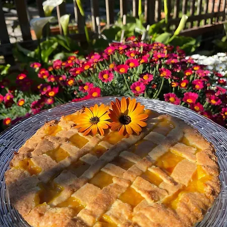 בית נופש Celeste - Isola D'elba